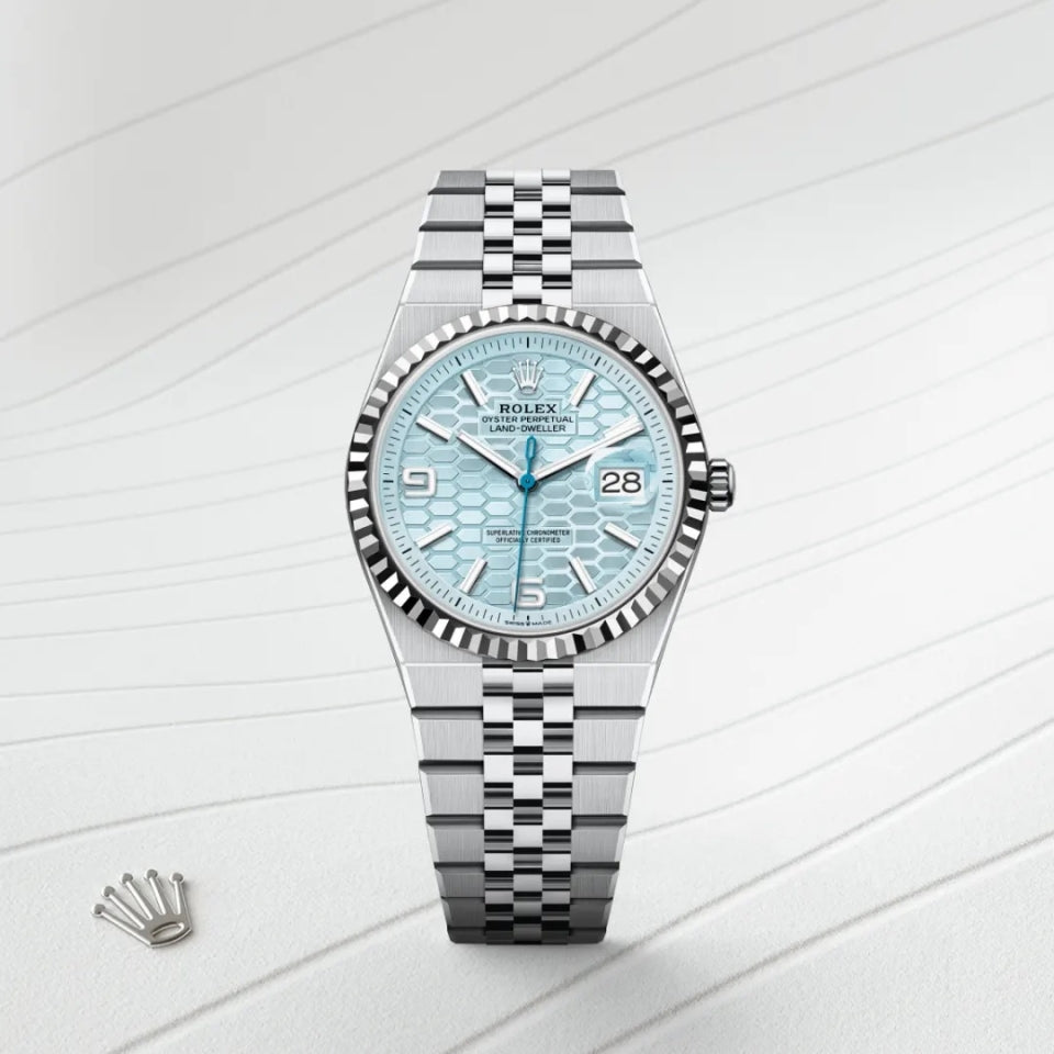 Automatic Watch for Men Replica Oyster Land-Dweller 100602